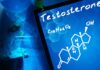 Boost Testosterone Naturally